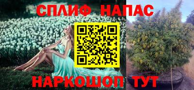 стаф Среднеуральск