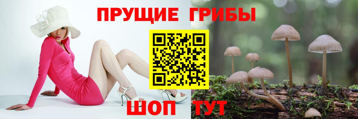 Псилоцибиновые грибы Magic Shrooms  Вход с VPN  Новотроицк 